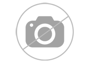 Скажений козак з шаблею_чорна